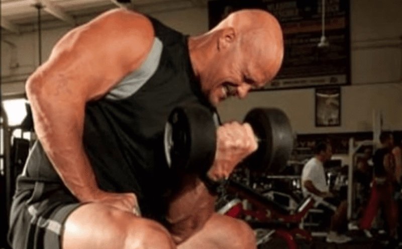 steve austin training